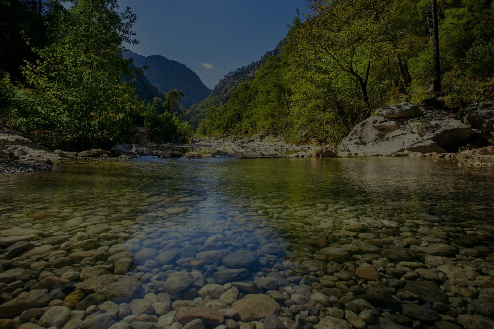 Medioambiente y sostenibilidad CIMA
